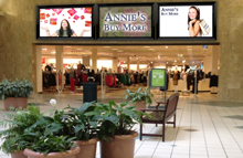 Retail industry, Mall, Outlets Indoor and Outdoor Digital Signage Solution